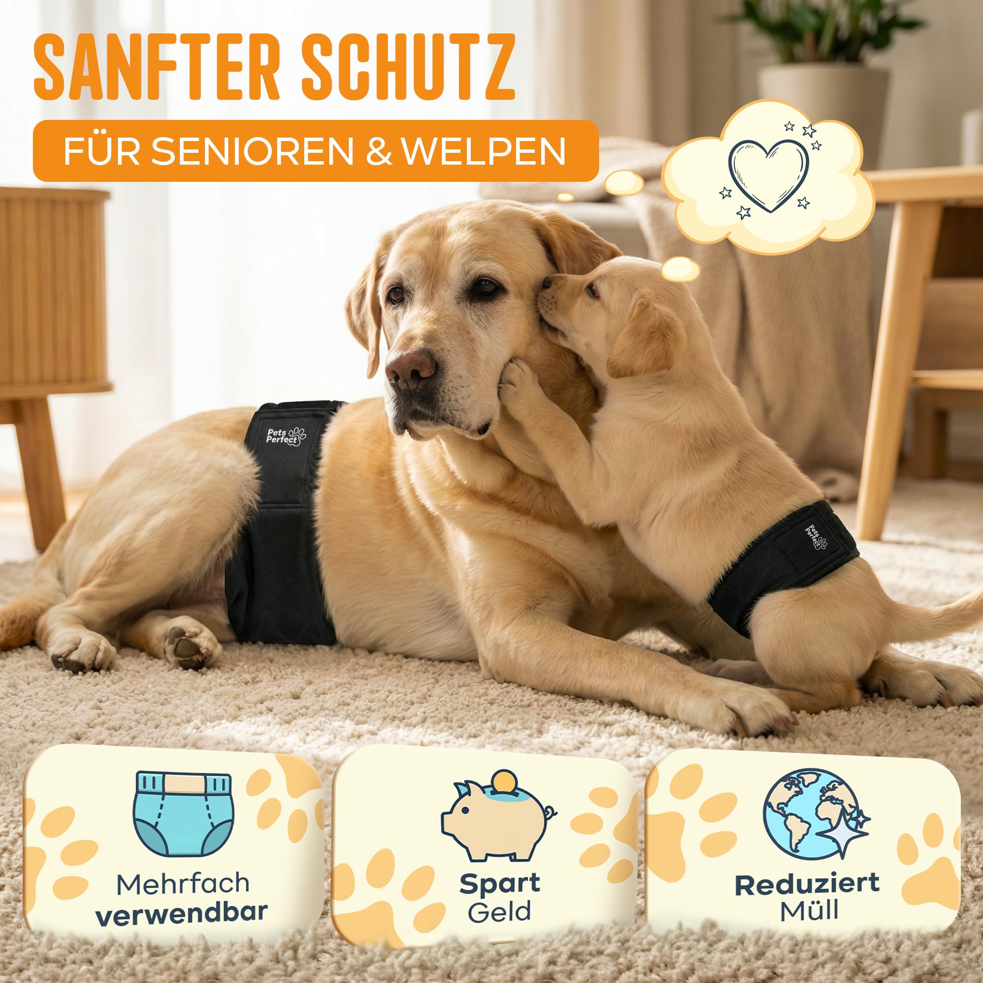 Hundewindeln für Rüden – Wiederverwendbare Windeln für Hunde, hoch absorbierende 5-Lagen Hunde Windeln Rüden, waschmaschinenfest, verstellbar mit Klettverschluss