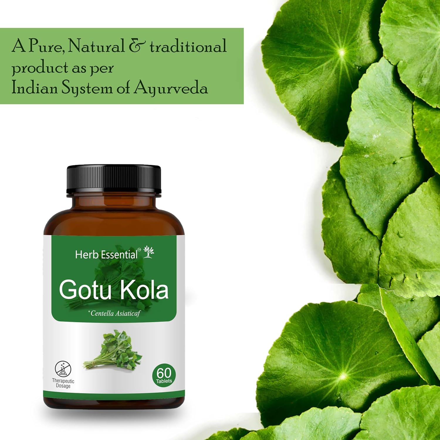 Herb Essential Organic Gotu Kola (Centella Asiatica) 500mg, Vegetarian 60 Tablets, Gluten Free Supplement with No Added Colors, Flavors and Preservatives - Image 6
