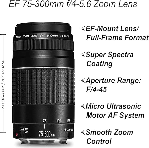 Miniatura 4 de Canon Cámara DSLR EOS 2000D / Rebel T7 con EF-S de 0.709-2.165 in + lente Daul EF 2.953-11.811 in + tarjeta de memoria SanDisk de 128 GB + trípode +