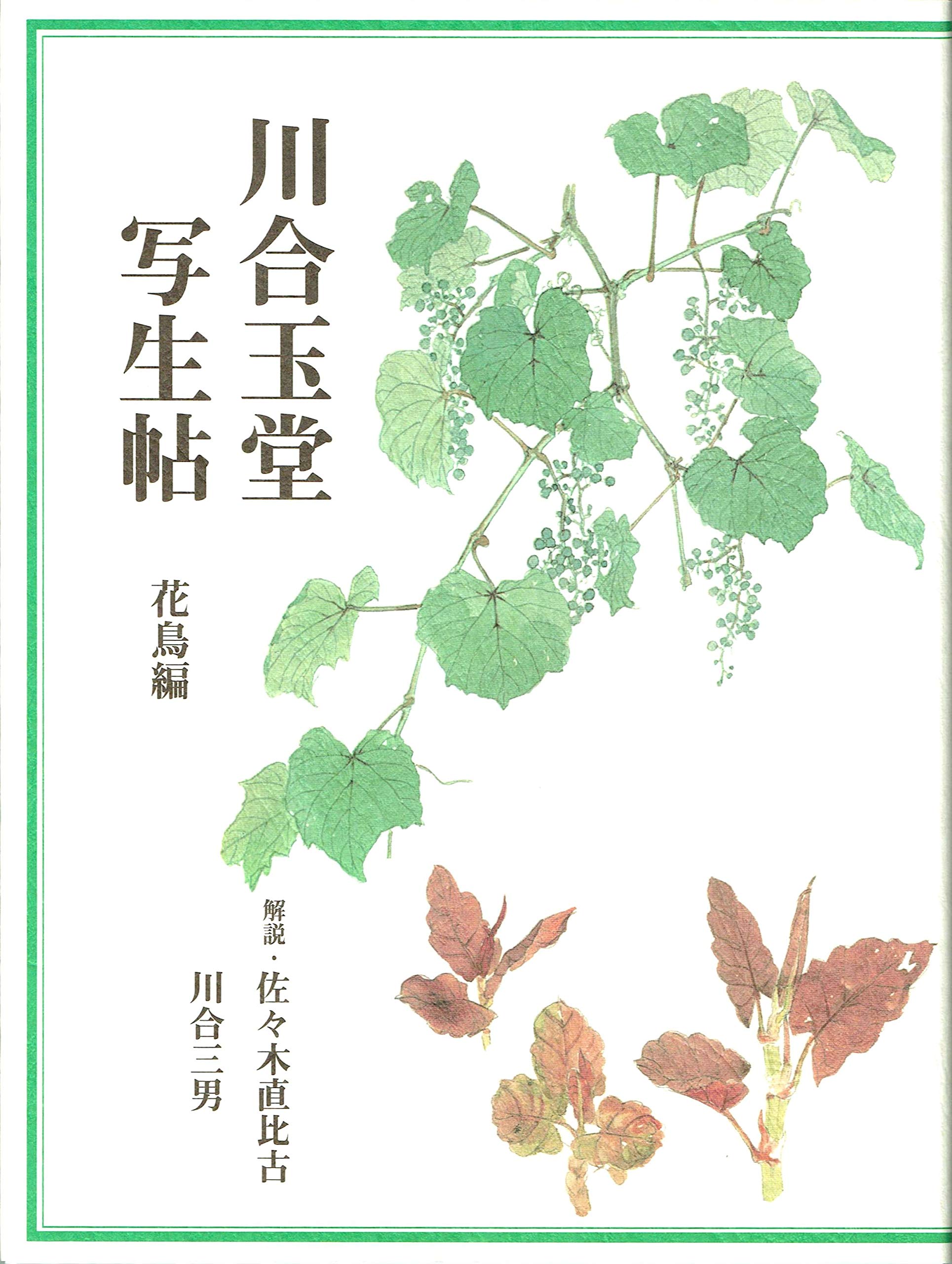 川合玉堂写生帖 花鳥編 復刻改訂版 | 川合玉堂 玉堂美術館 |本 | 通販
