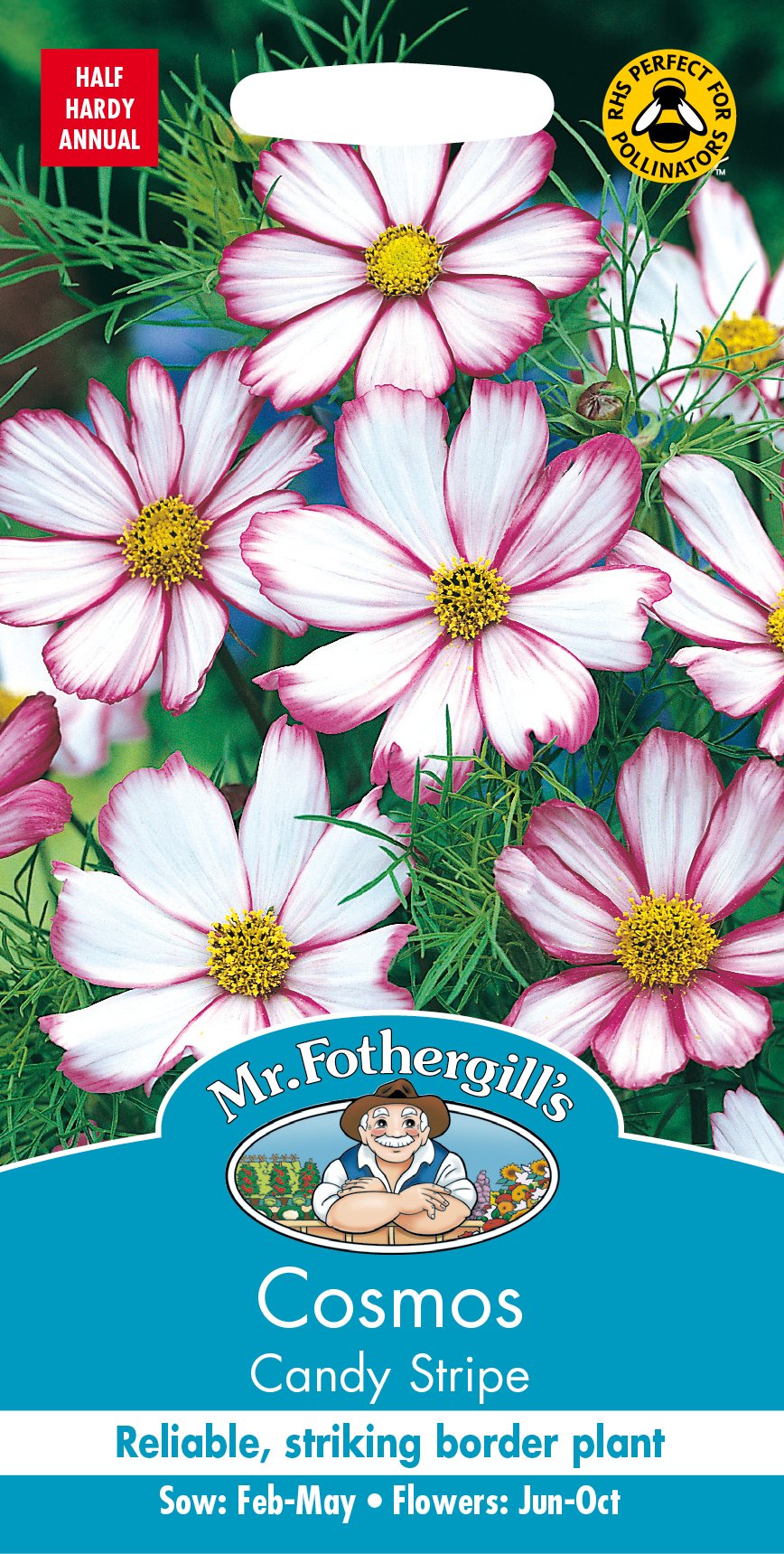 Mr Fothergills Pretty Coloured Garden Flowers Cosmos - Candy Stripe Seeds