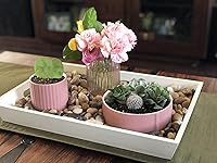 Vista 6 de Chesapeake Bay Candle PT42075 - Vela de cerámica multi-mecha, salvia clara