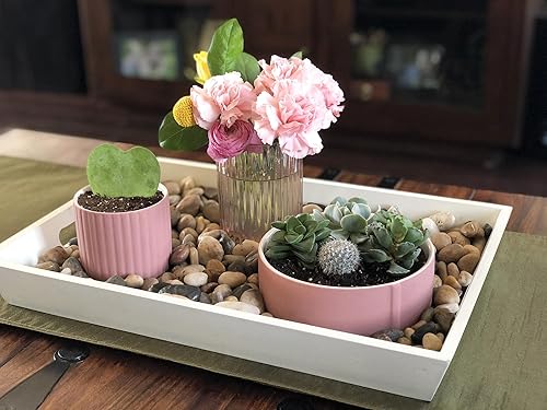 Miniatura 6 de Chesapeake Bay Candle PT42075 - Vela de cerámica multi-mecha, salvia clara