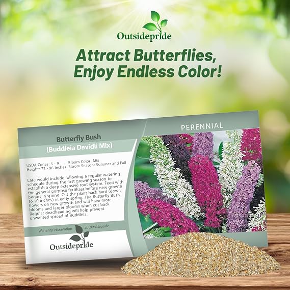Outsidepride Butterfly Bush Mix Seeds - 100 Pcs. Perennial, Drought-Tolerant & Low Maintenance Flower Seeds for Planting Fast Growing & Aromatic, Tall Mixed Blooms, Great for Pollinator Gardens