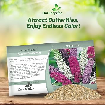 Outsidepride Butterfly Bush Mix Seeds - 100 Pcs. Perennial, Drought-Tolerant & Low Maintenance Flower Seeds for Planting Fast Growing & Aromatic, Tall Mixed Blooms, Great for Pollinator Gardens