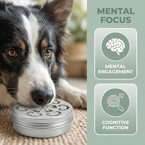 Miniatura 3 de Paquete de 3 recipientes de entrenamiento de aroma de perro para perros, suministros de trabajo de nariz para entrenamiento de aromas, cajas de