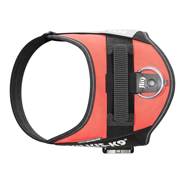 Foto 4 de 5 de Julius - Arnés Julius para perros K9 IDC Powerharness