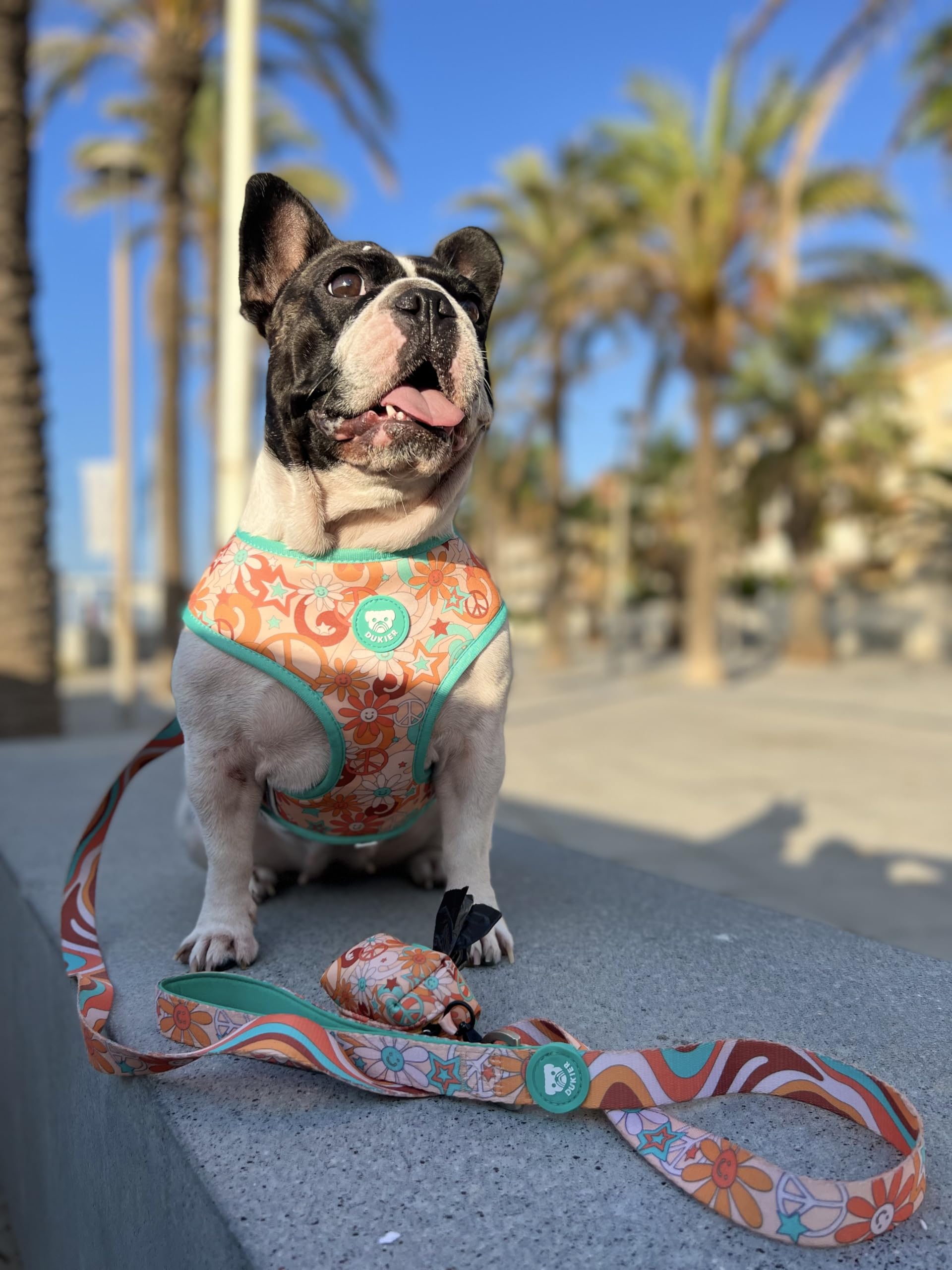 DUKIER - Arnés Reversible para Perro, Chaleco Antitirones, Transpirable y Reflectante para Mascotas, de Neopreno y Malla, Ajustable, Diseño Peace, Talla M