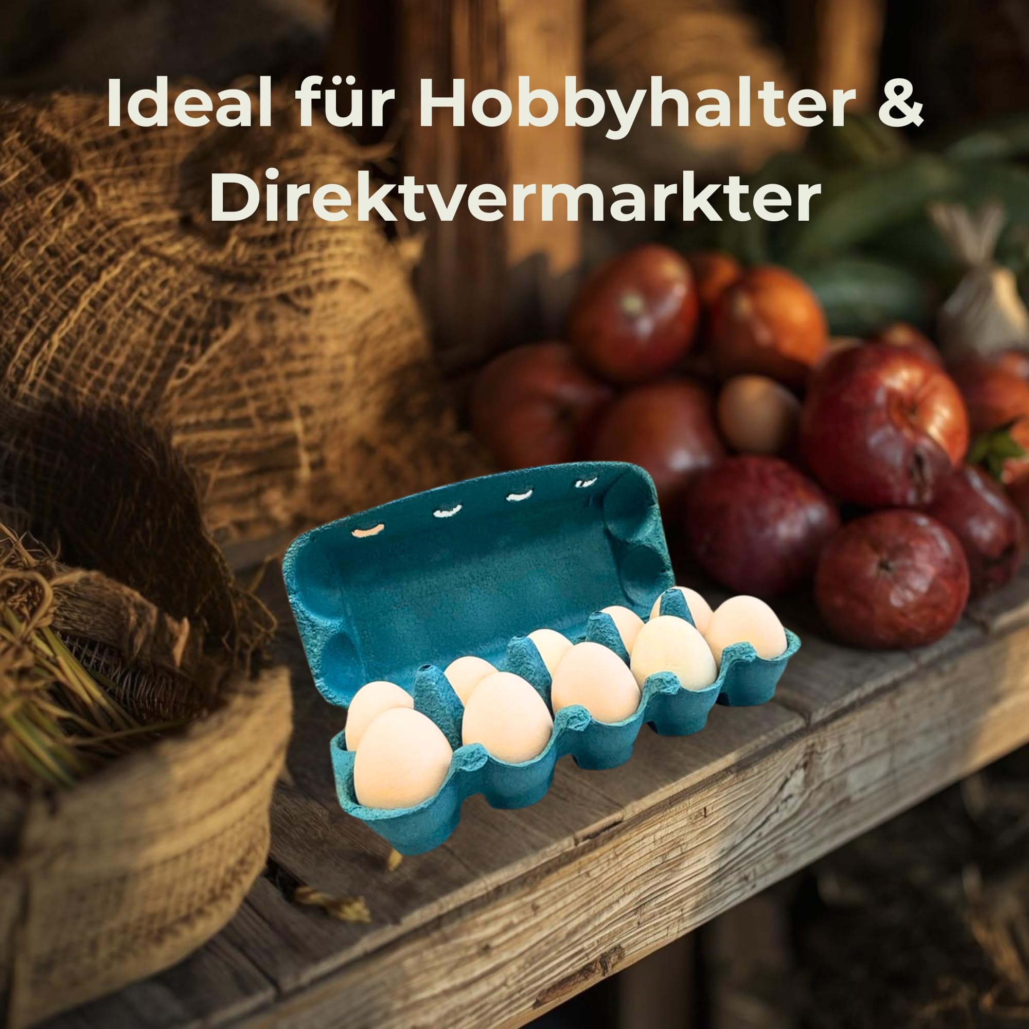 Ingbertson Eierpappen – 115 Stück für je 10 Eier | Stabile Eierkartons aus Pappe | Sicherer Transport & Aufbewahrung von Hühnereiern (Sky Blue)