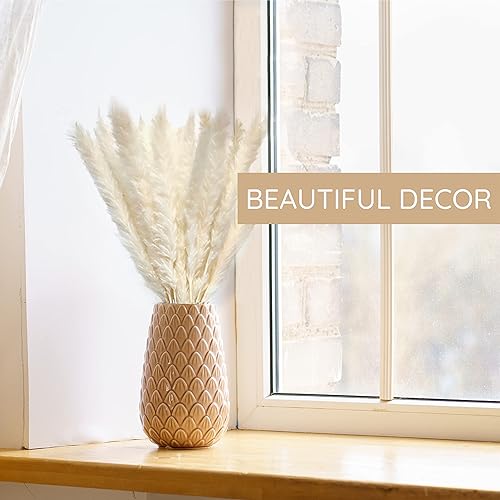 Miniatura 7 de Hierba de pampa blanca seca, paquete de 35 tallos, 17 pulgadas (16.9in) - 100% natural - tallo esponjoso neutro - Paquete de regalo de ramo -