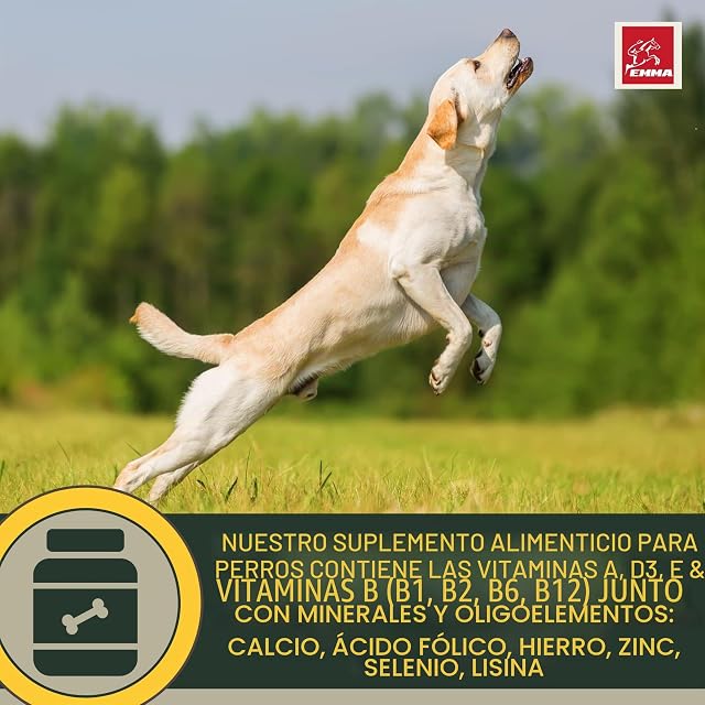 Foto 4 de 8 de EMMA Multi Vitamine B Complex para Perros, Vitamina B1, B2, B6, B12, Calcio, ácido fólico, Hierro