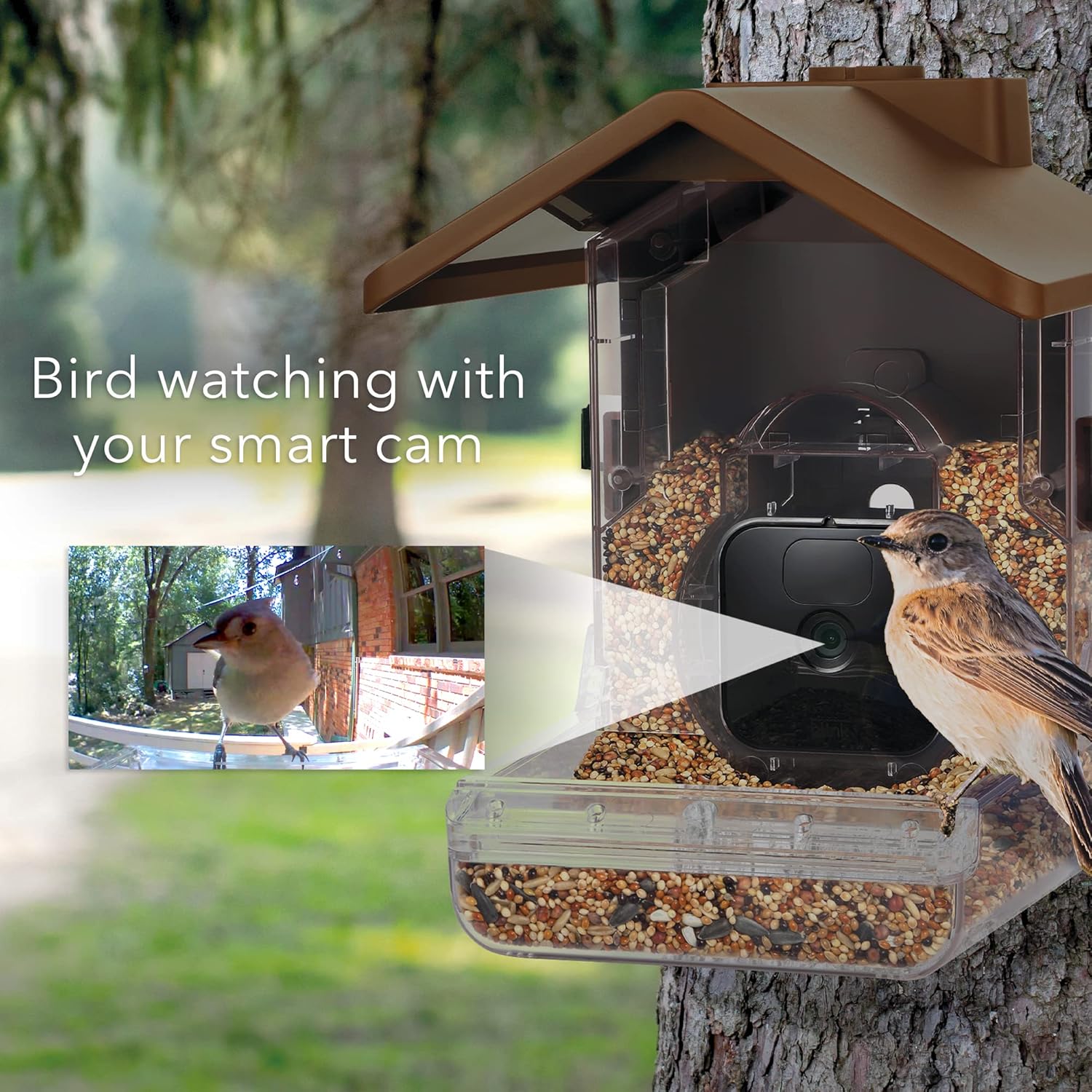 A small, discreet Wasserstein PoE camera suitable for DIY projects