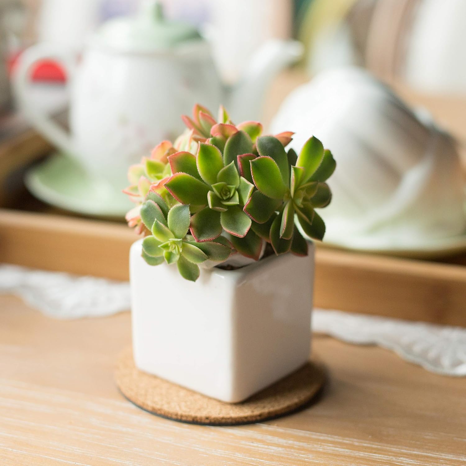 8 Pieces Cork Plant Mat Cork Pad Round Plate, Suitable for Placing Planter, Hot Platters, Coasters for Multiple Mugs and Glasses and Other DIY Projects (4 Inches)