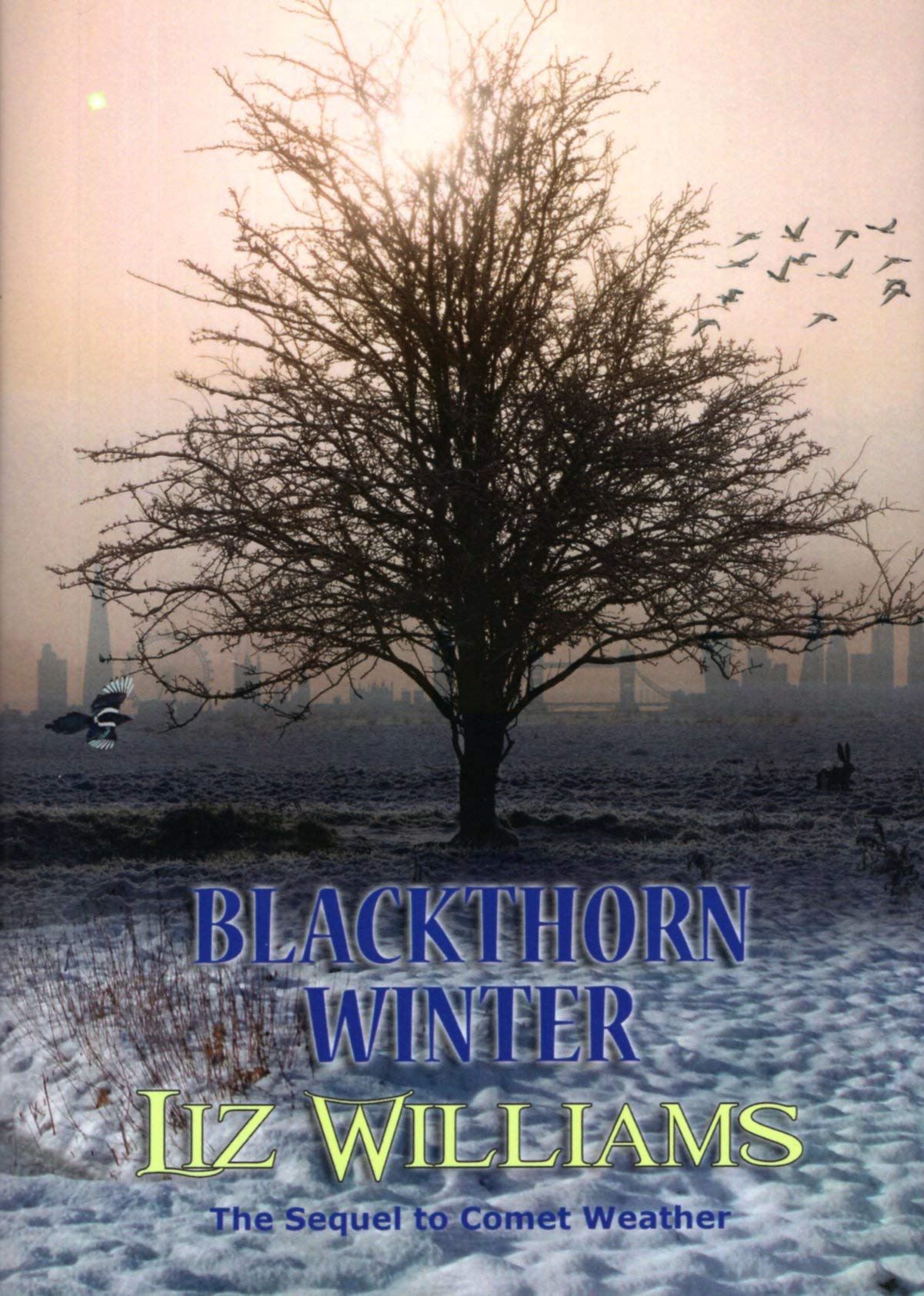 Buy Blackthorn Winter: 2 (The Fallow Sisiters) — BookShops.in