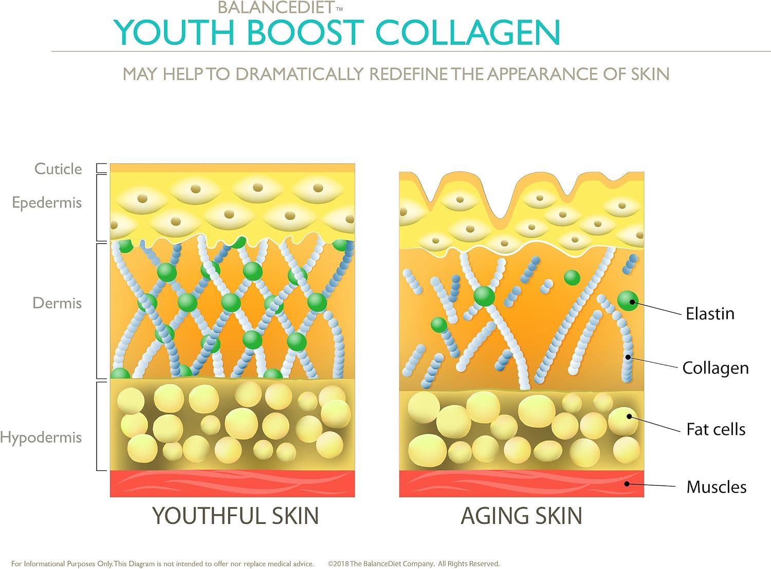 BalanceDiet Youth Boost Collagen Protein Peptides - Ultra Pure Hydrolyzed 100% Grass Fed Type 1 and Type 3 Collagen - Restore, Rebuild and Repair The Vitality of Skin, Hair, Joints