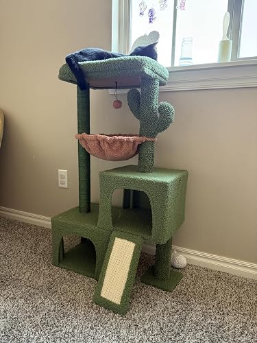 Review Image by Amazon Customer