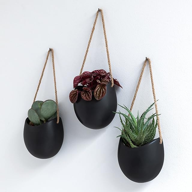 Kazai. Wall Planters -Ellie- | Hanging Ceramic Plant Pots, 3 Pieces, for Succulents and more | Wall Decoration for Indoors, Balcony and Garden | Black (matte)