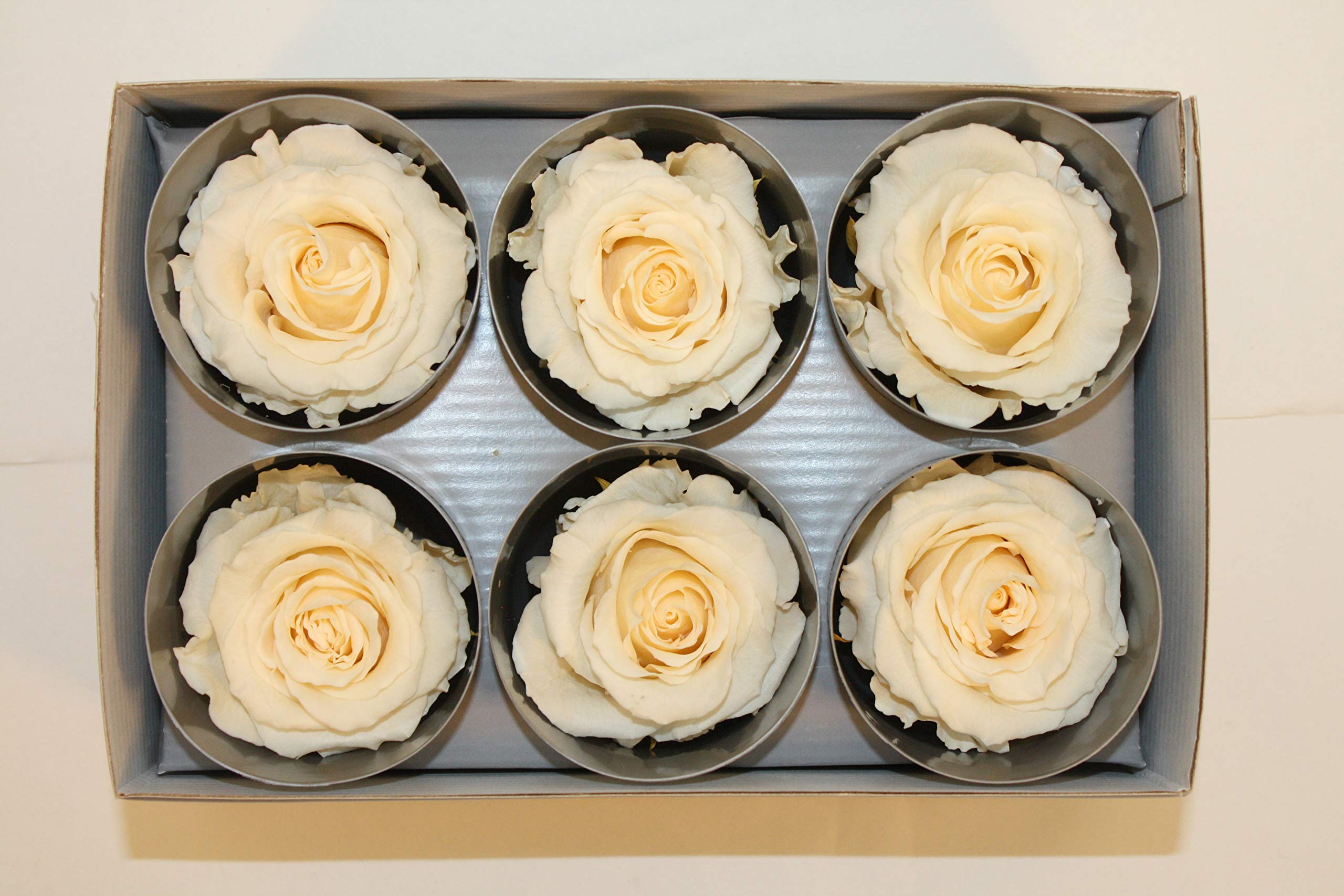 Verdissimo USA Preserved Rose Heads (Medium (Standard), Porcelain)