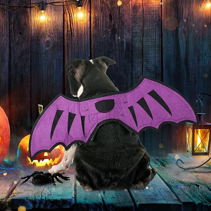 Disfraz Halloween Spider Dragon Vampiro para Perro Grande Pequeño miniatura 4