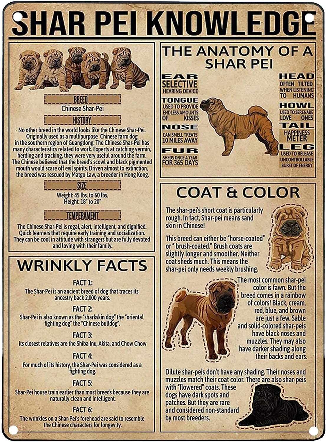 rayprint Shar Pei Knowledge Retro Metal Sign Art Print Tin Sign Poster Used for Bar Cafe Club Wall Plaque 12x16 Inches