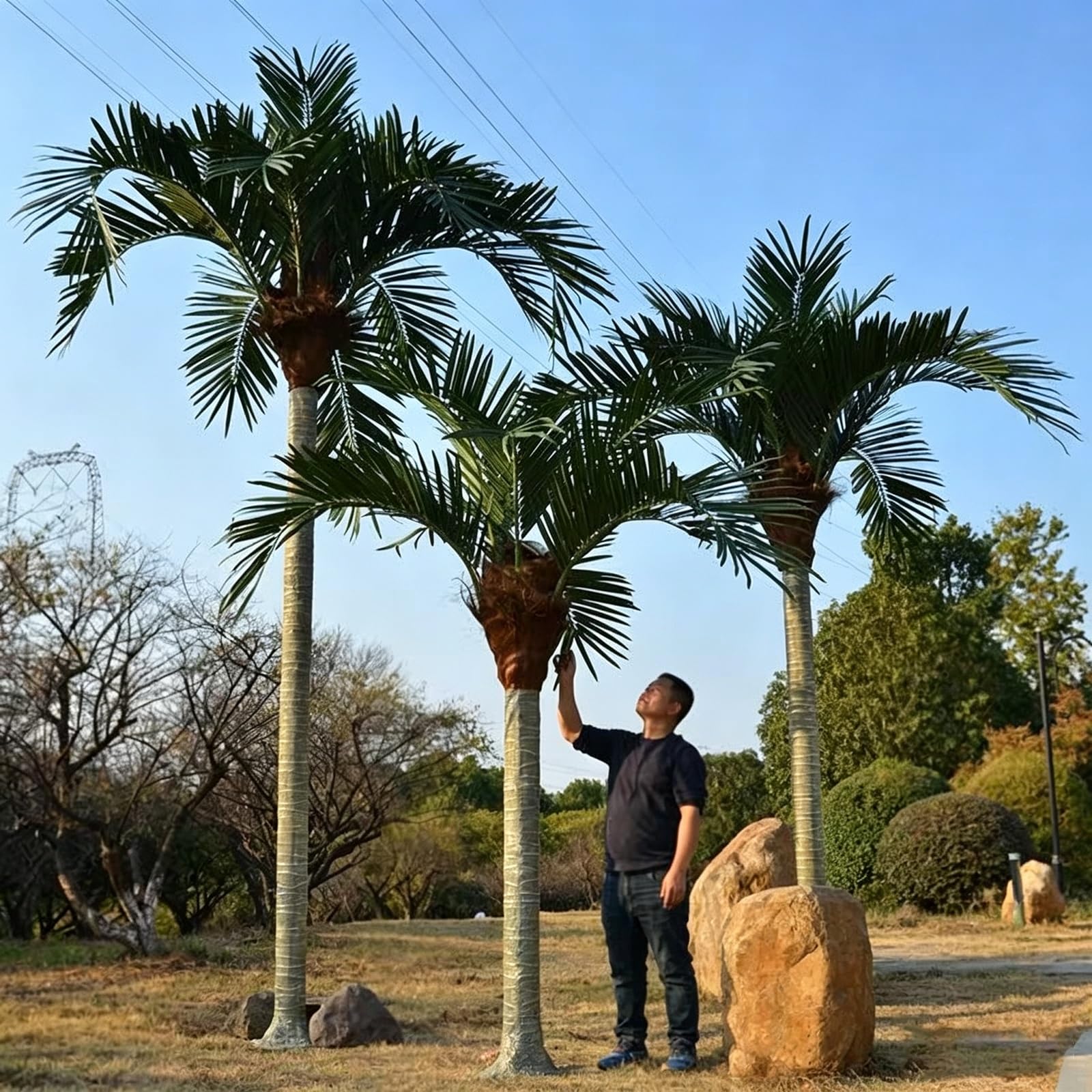 Compact Height Freestanding Artificial Coconut Palm Tree Miniature Tropical