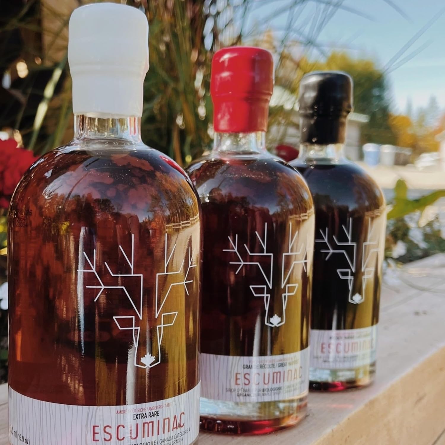 Escuminac Canadian Maple Syrup Gift Set – Value Bundle with 3 Harvests (Extra Rare, Great Harvest & Late Harvest) – 3 x 16.9 fl oz – 100% Pure & Organic