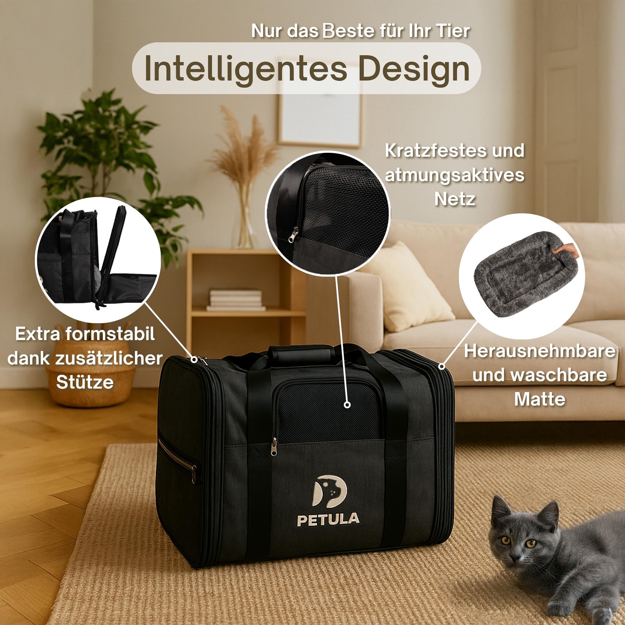 Petula Katzentasche & Hundetasche – Faltbare Katzentransporttasche für Katzen & kleine Hunde bis 13 kg – Formstabil, mit Innenmatte, Belüftung, Katzentransportbox, Transportbox (Schwarz)