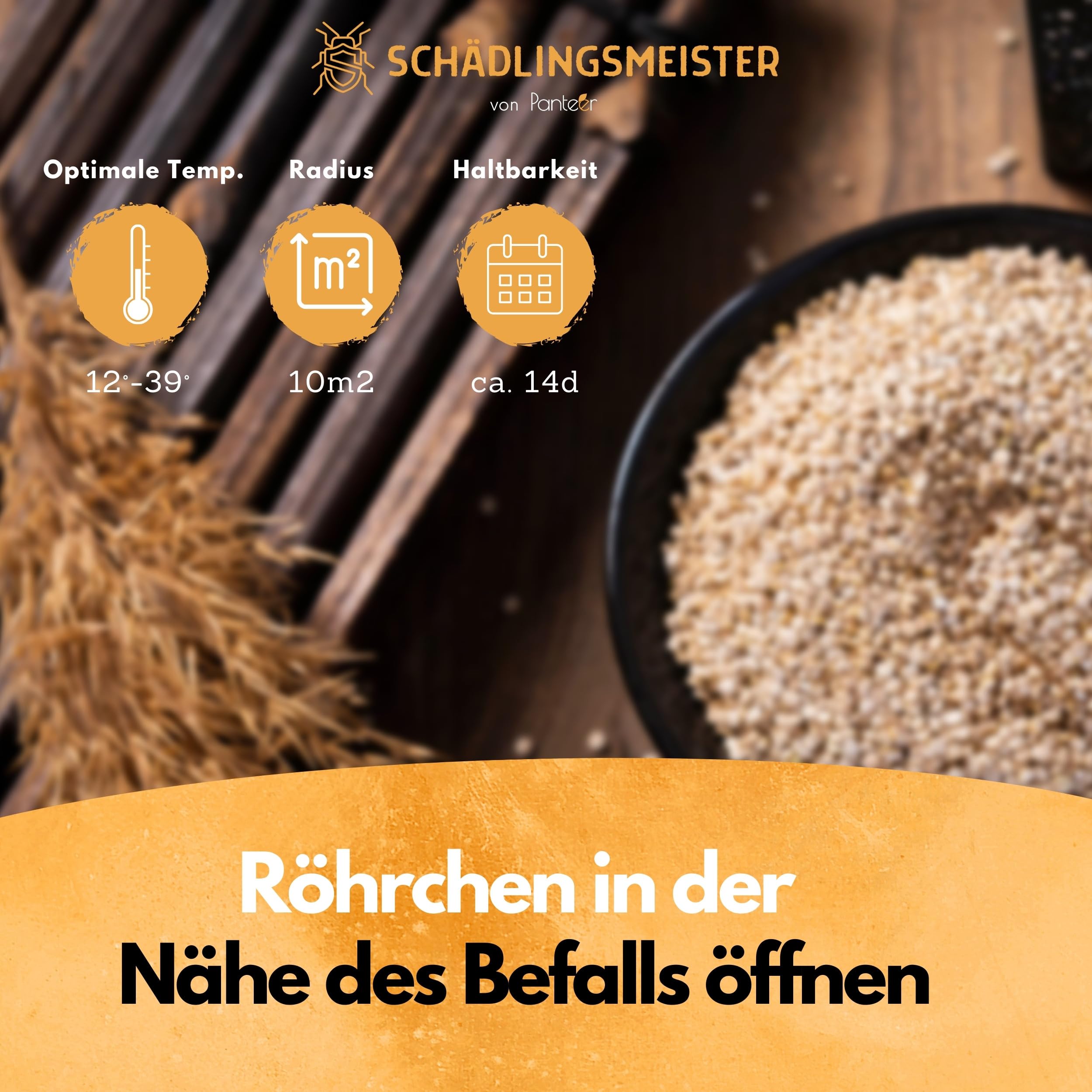 Panteer ® Lagererzwespen - 40 Nützlinge - Brotkäfer bekämpfen und Kornkäfer bekämpfen - Besser als Brotkäfer Falle - Zwei Arten für hohe und kühle Temperaturen - Made IN Germany (1 Stück)