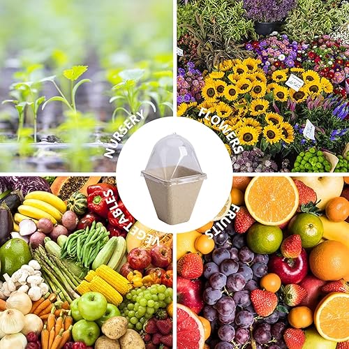 Miniatura 7 de PURPLE STAR 1N 40 macetas de inicio de siembra para plantar, macetas cuadradas biodegradables de 3.1 pulgadas con cúpula de humedad, macetas de