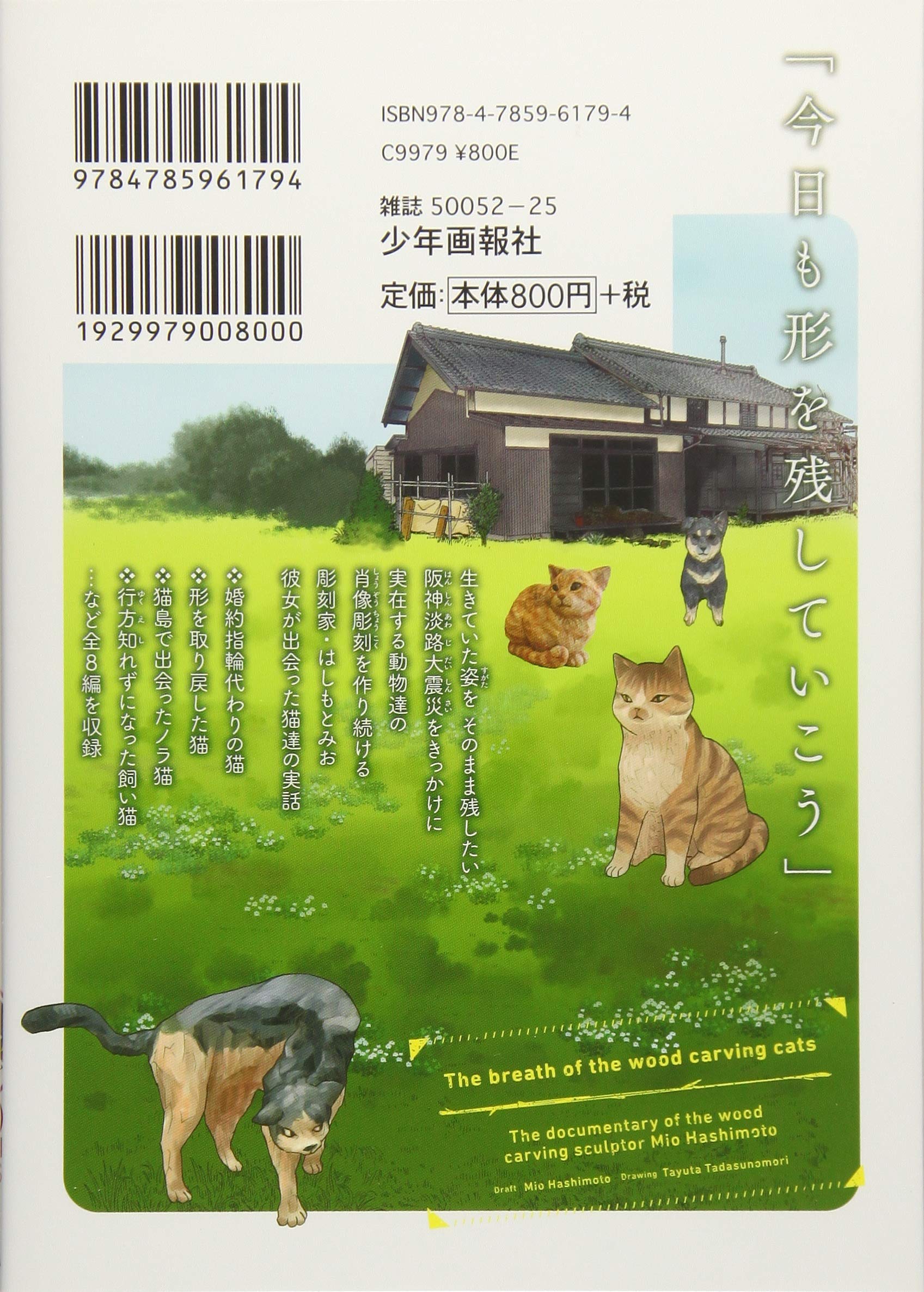 木彫り猫の息吹 はしもとみお彫刻日誌 ねこぱんちコミックス はしもと みお 糺ノ森 たゆた 本 通販 Amazon