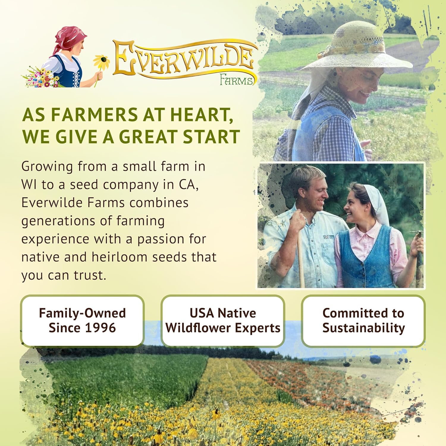 Everwilde Sensation Tall Cosmos Seeds 1 Lb Mylar – Easy to Grow Annual Wildflowers – High Germination & Attracts Pollinators – Great Wildflower Seed for Gardens, Pots & Bouquets