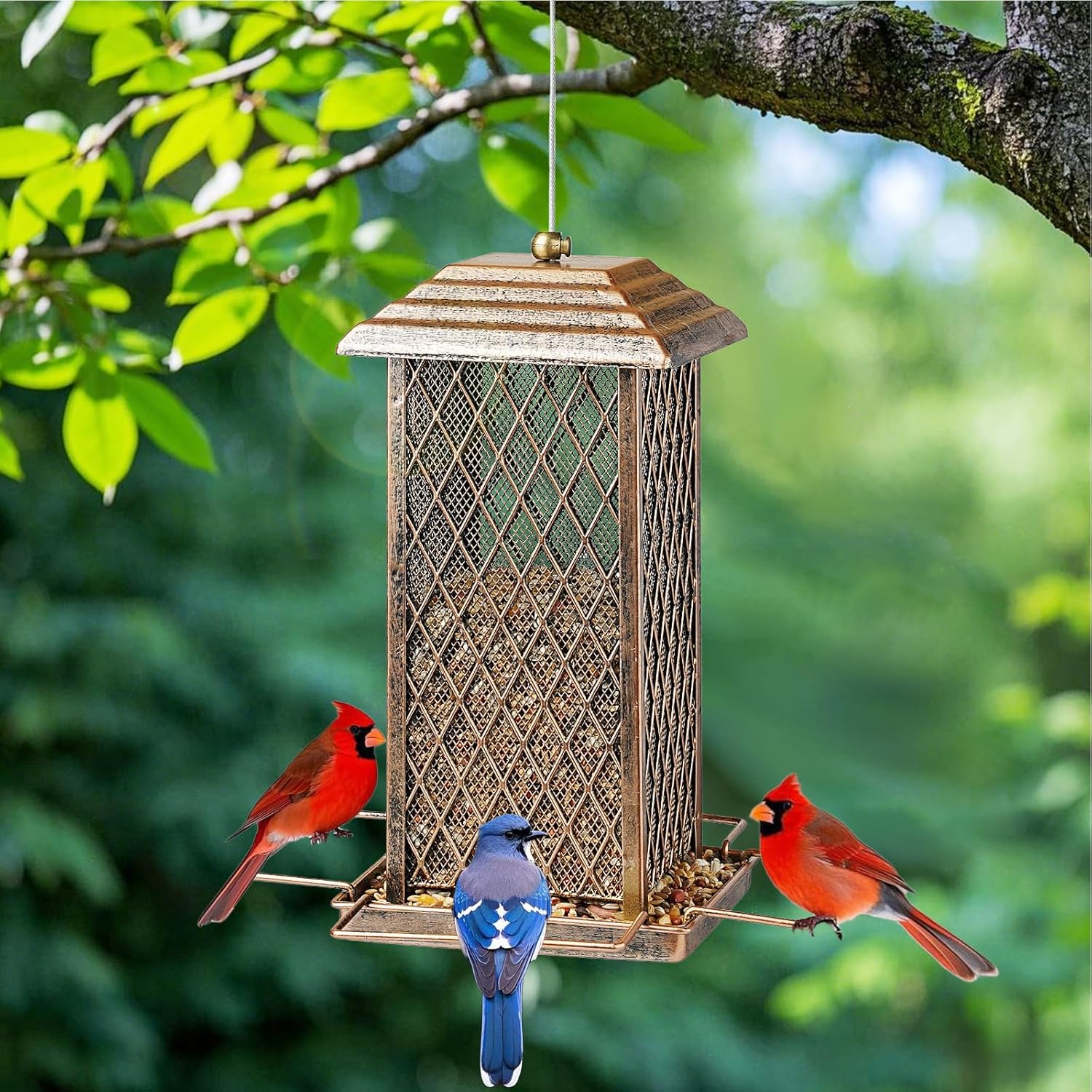 Bird Feeder for Outdoor, Heavy Duty Metal Wild Bird Feeders for Outside Hanging, Retro Lantern Shape Birdfeeder