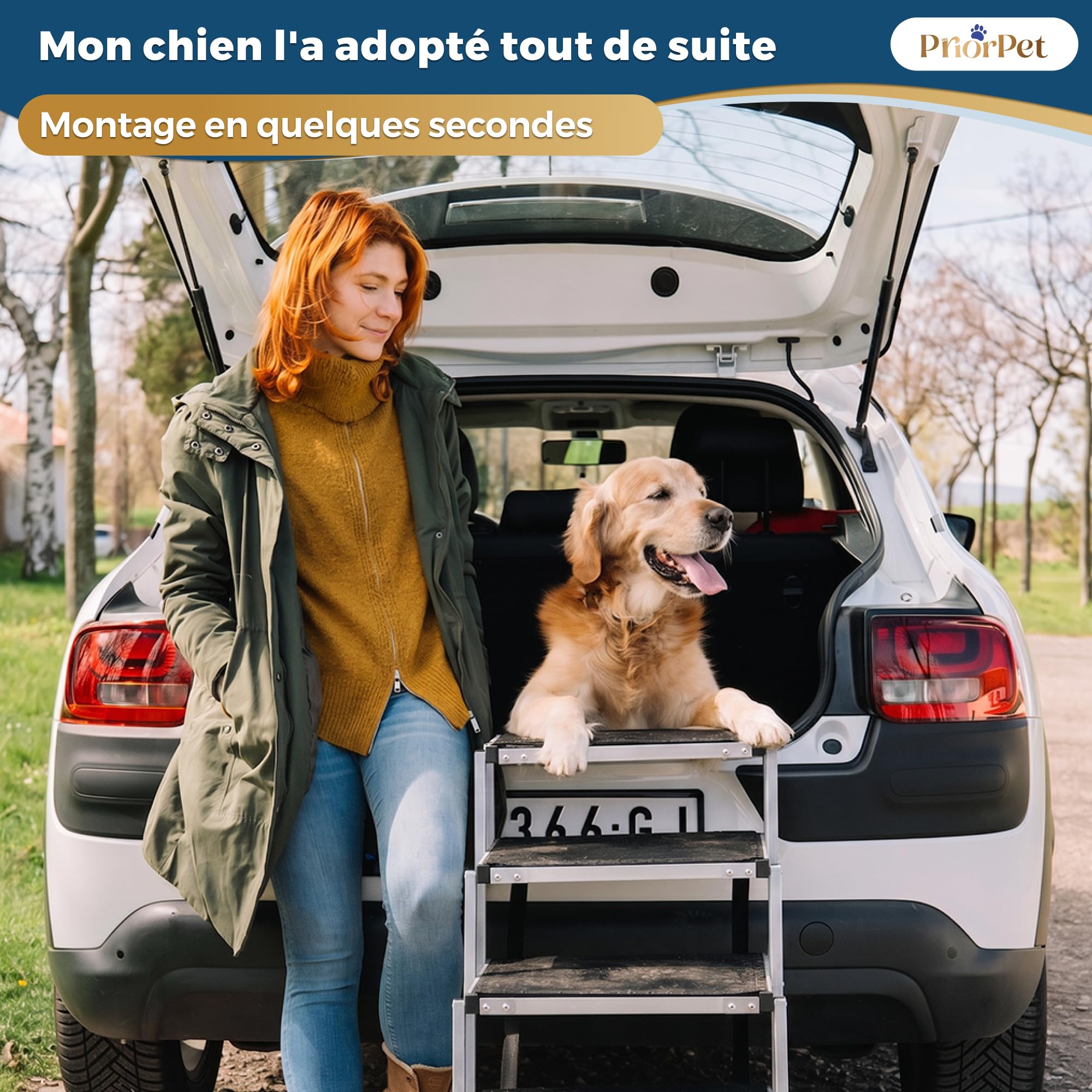 Escalier Chien Voiture Pliable – 4, 5 ou 6 Marches pour Coffres Bas ou Élevés (63–81 cm) – pour Petites Voitures, Breaks & SUV – Rampe Escalier Chien pour Monter sans Sauter
