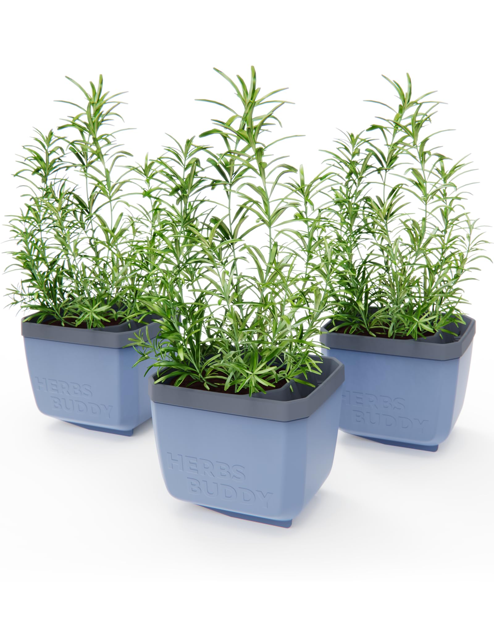 Rackhams Blue Herbs Buddy Herb Pot With Water Reservoir - 3 Pcs
