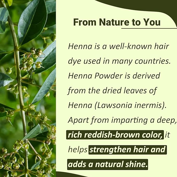 Polvo de Henna Pura Mi Nature 454g - Tinte Natural para Cabello miniatura 2
