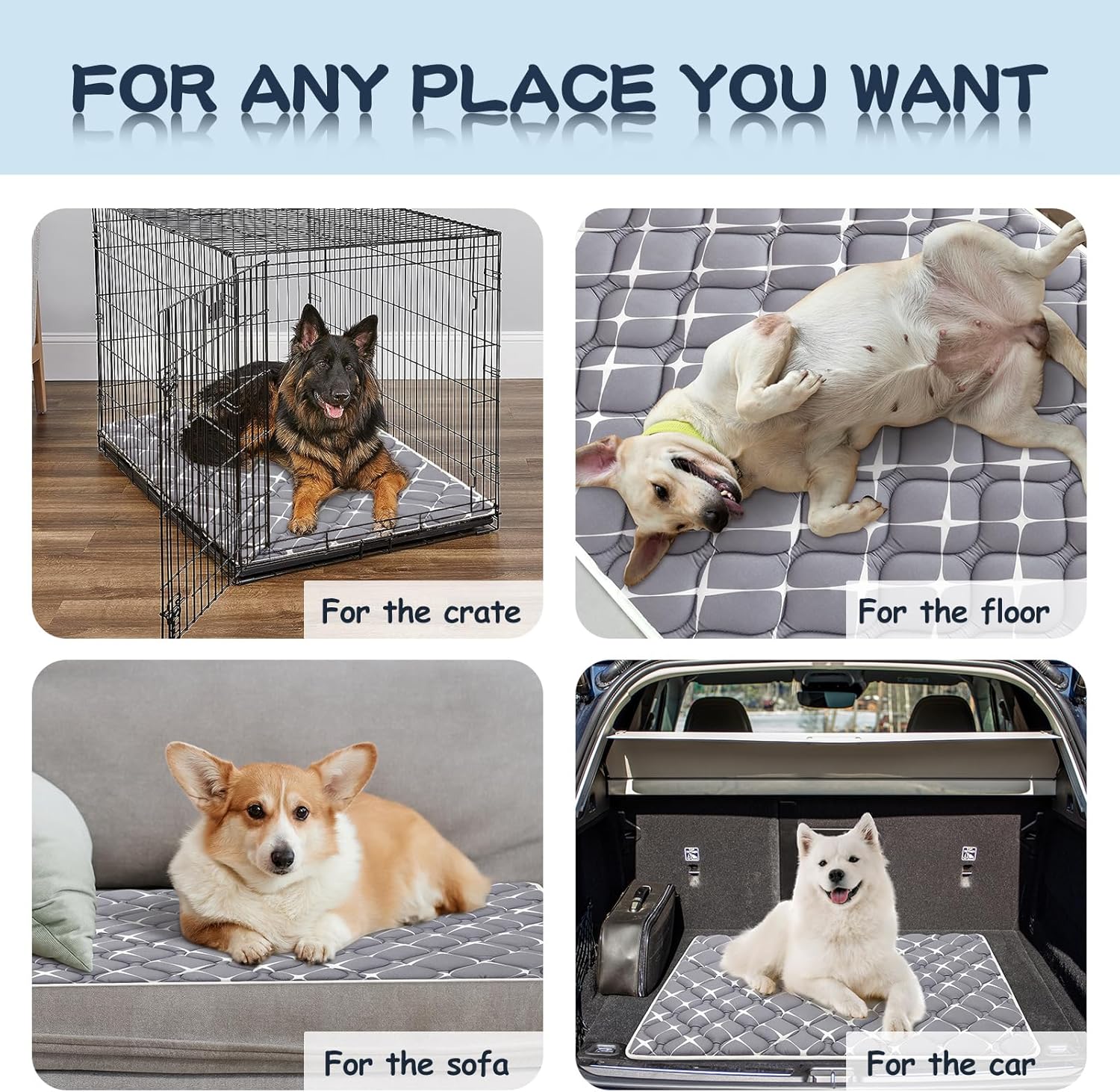 The Ultimate Comfort: Bubble Bear Dog Crate Mat Review - Soft, Washable & Stain-Resistant!