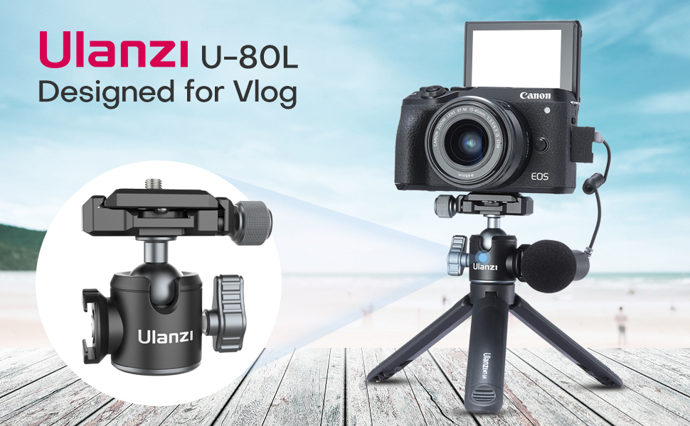 Amazon.com : ULANZI U-80L Metal Ball Head Camera Mount Arca Swiss