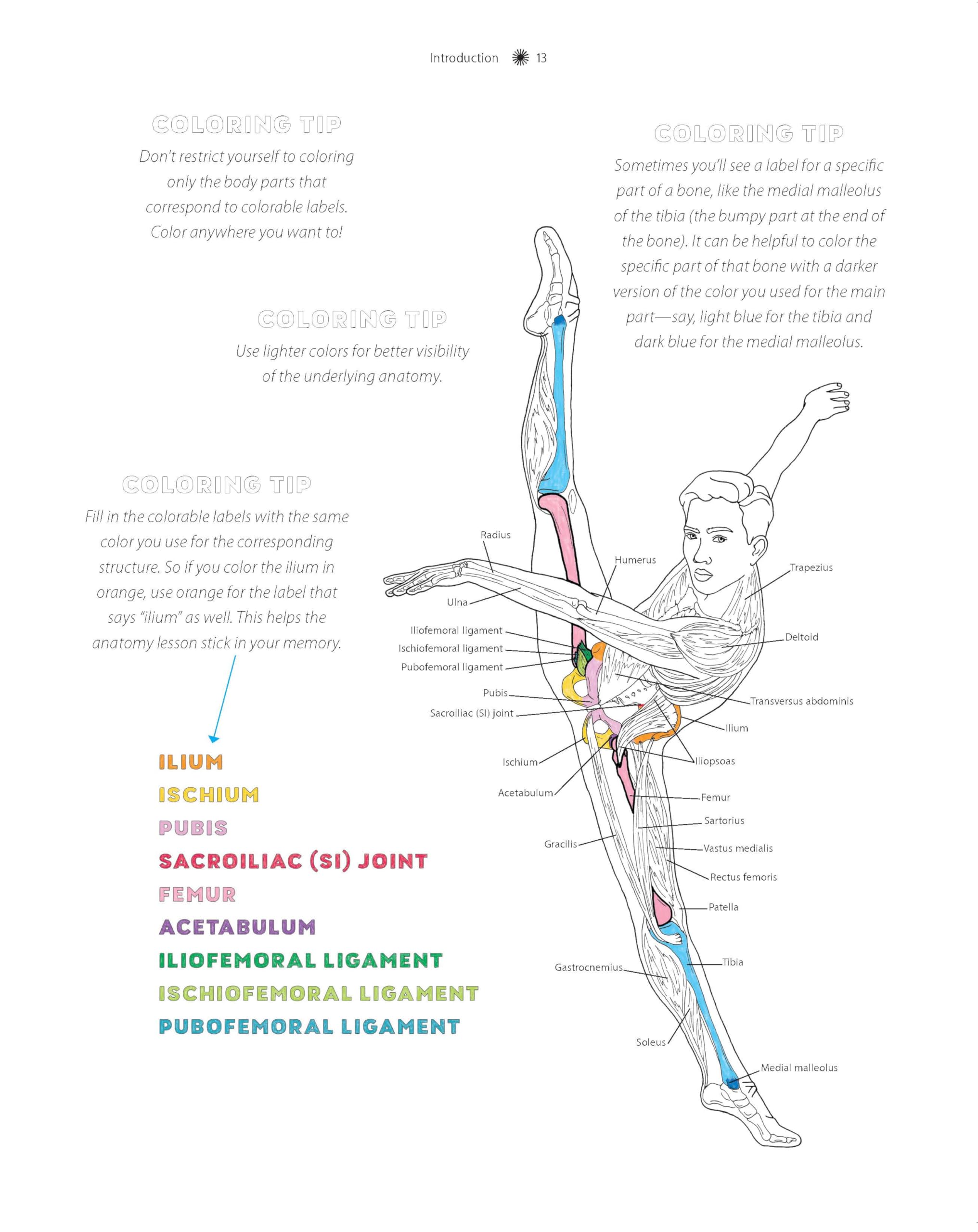 The Dance Anatomy Coloring Book: A Visual Guide to Form, Function, and Movement (Get Creative, 6)