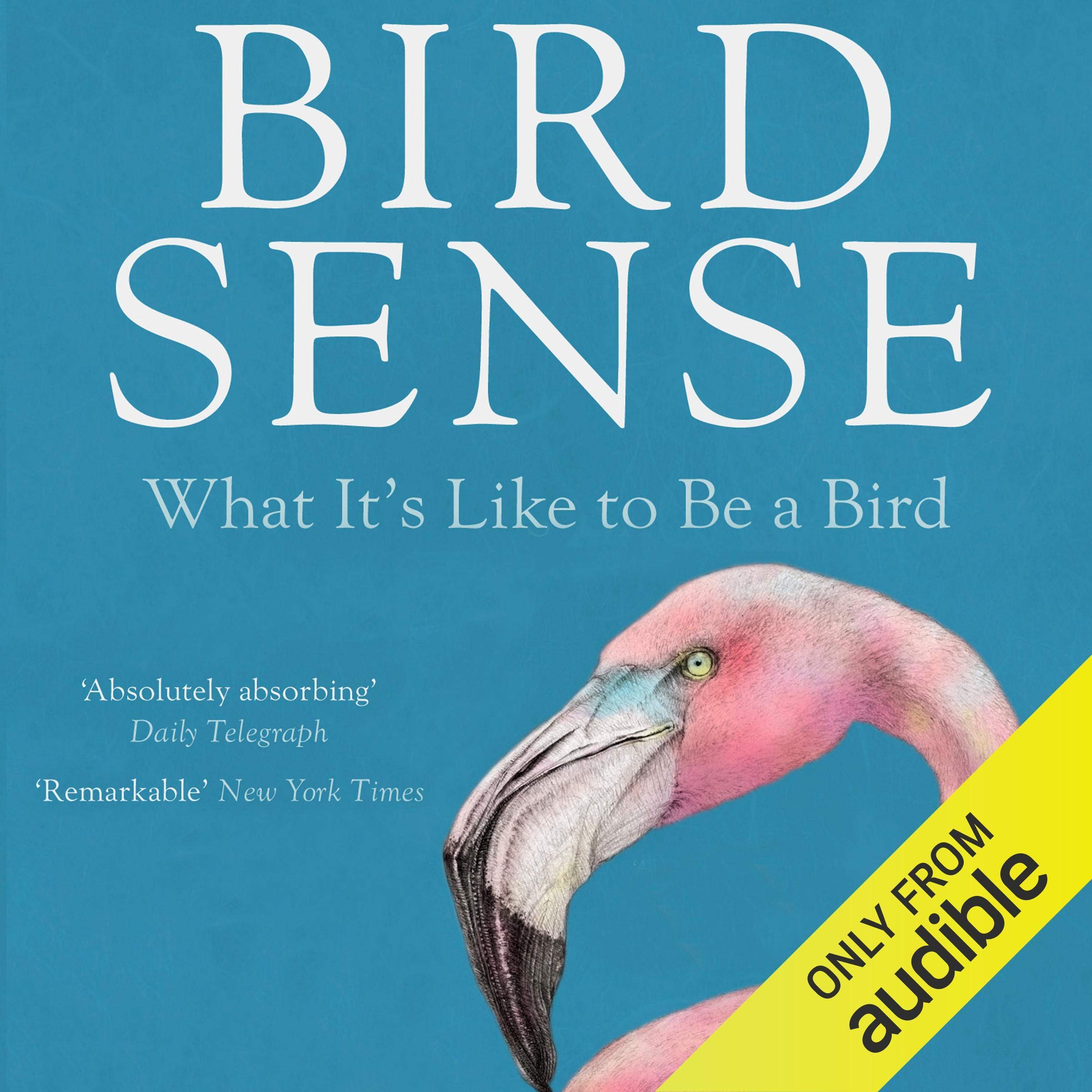 Bird Sense