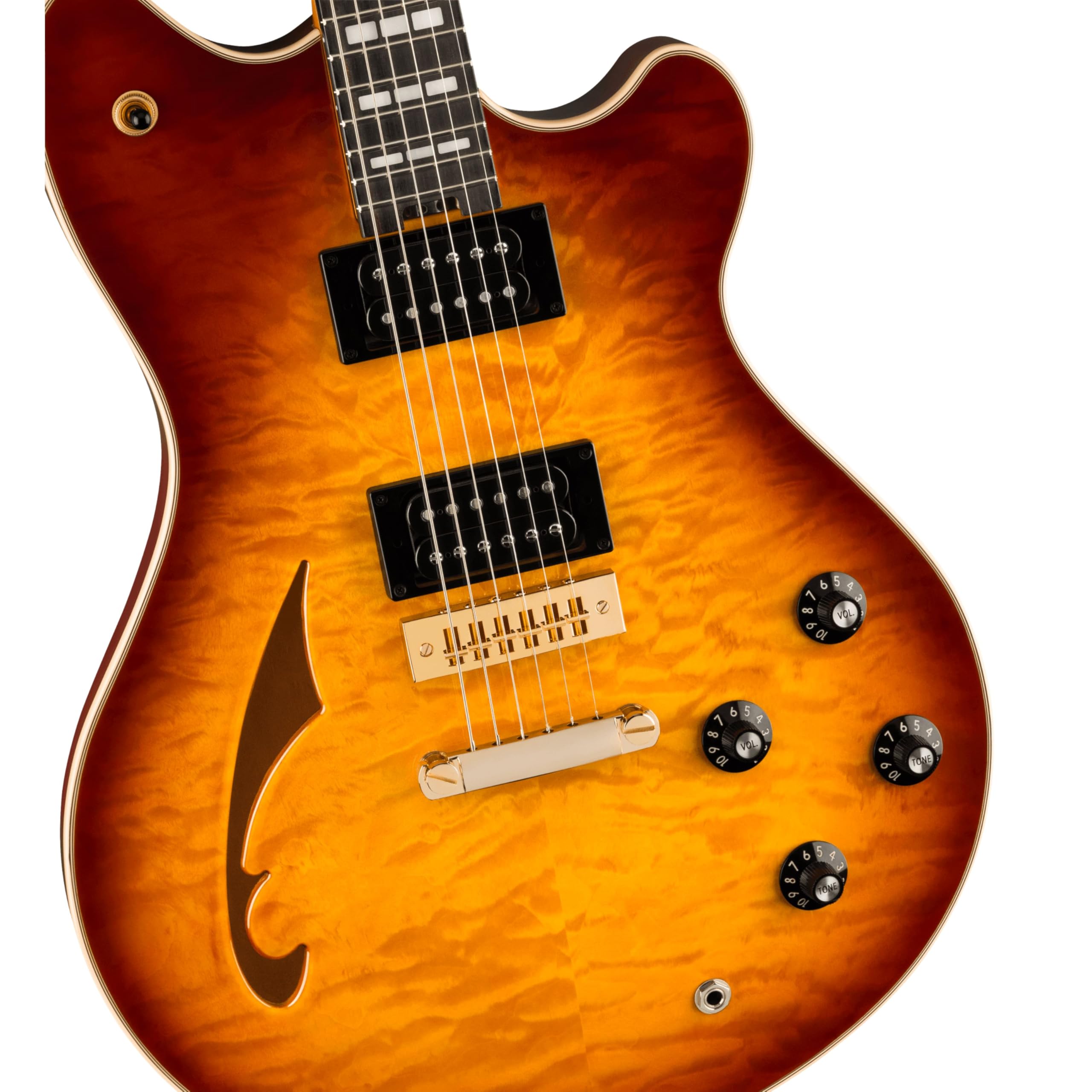 Amazon.com: EVH SA-126 Special Quilted Maple Electric Guitar