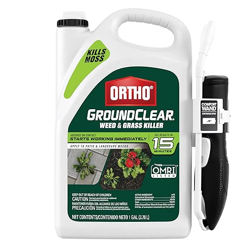 Ortho GroundClear Weed & Grass Killer with Comfort Wand -