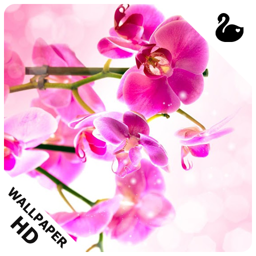 Full HD WallpapersAmazon.caAppstore for Android