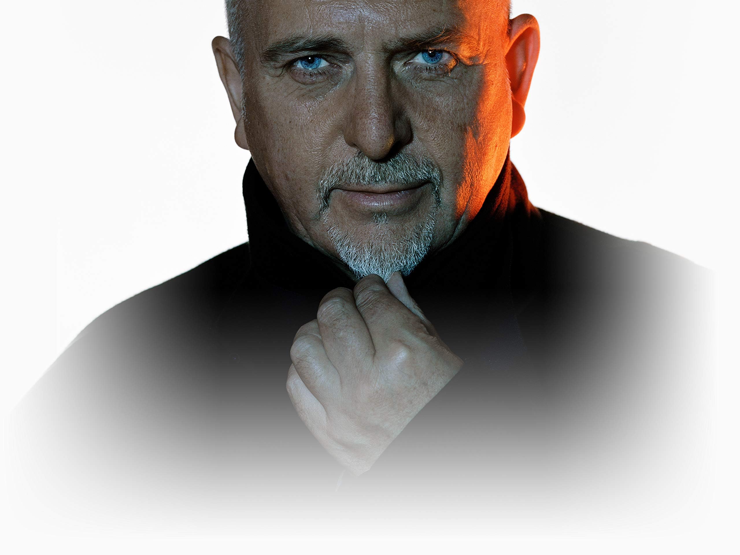 ピーター・ガブリエル ピーター・ガブリエル PETER GABRIEL ピーター・ガブリエル【LP