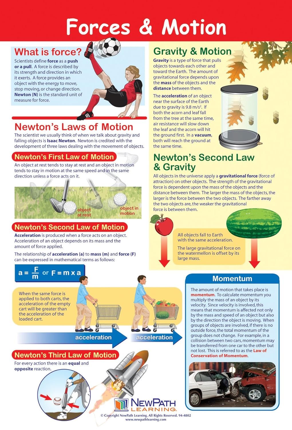 Forces Motion Poster Laminated Full Color 23 X 35 Amazon In