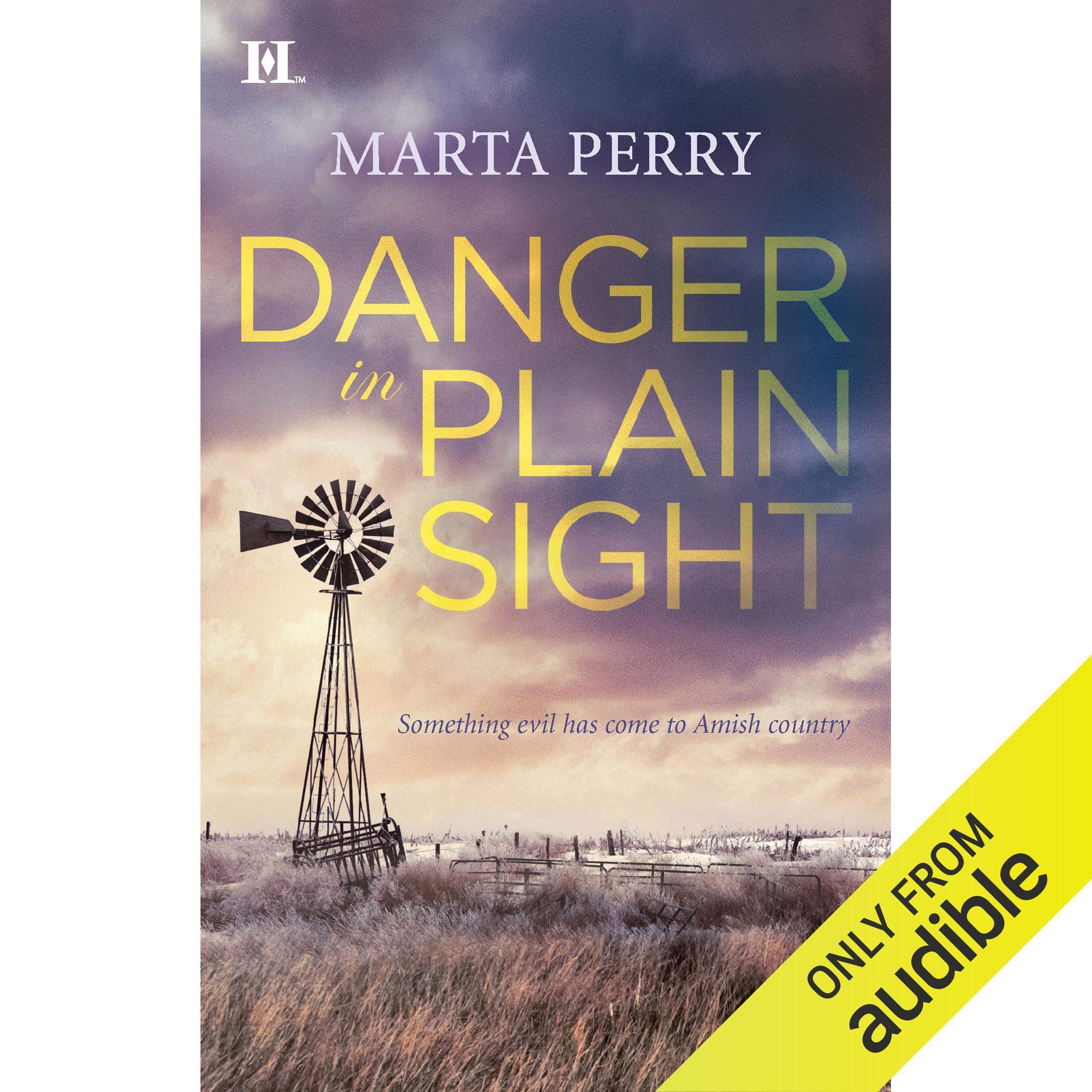 Cover art for Danger in Plain Sight