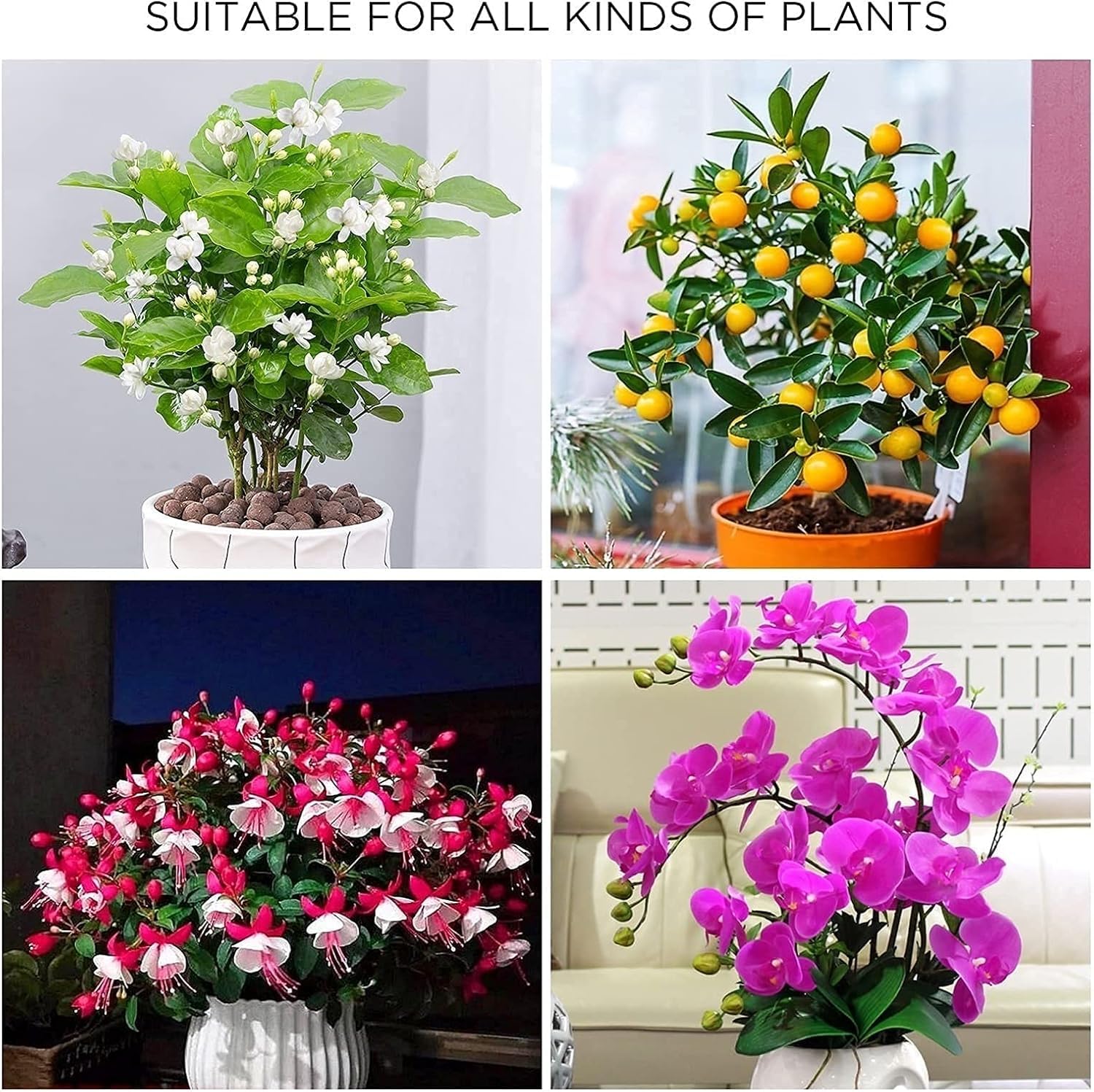 Filet de protection contre les insectes et les oiseaux avec cordon de serrage – Filet anti-insectes pour protéger les fleurs et les légumes contre les insectes et les oiseaux