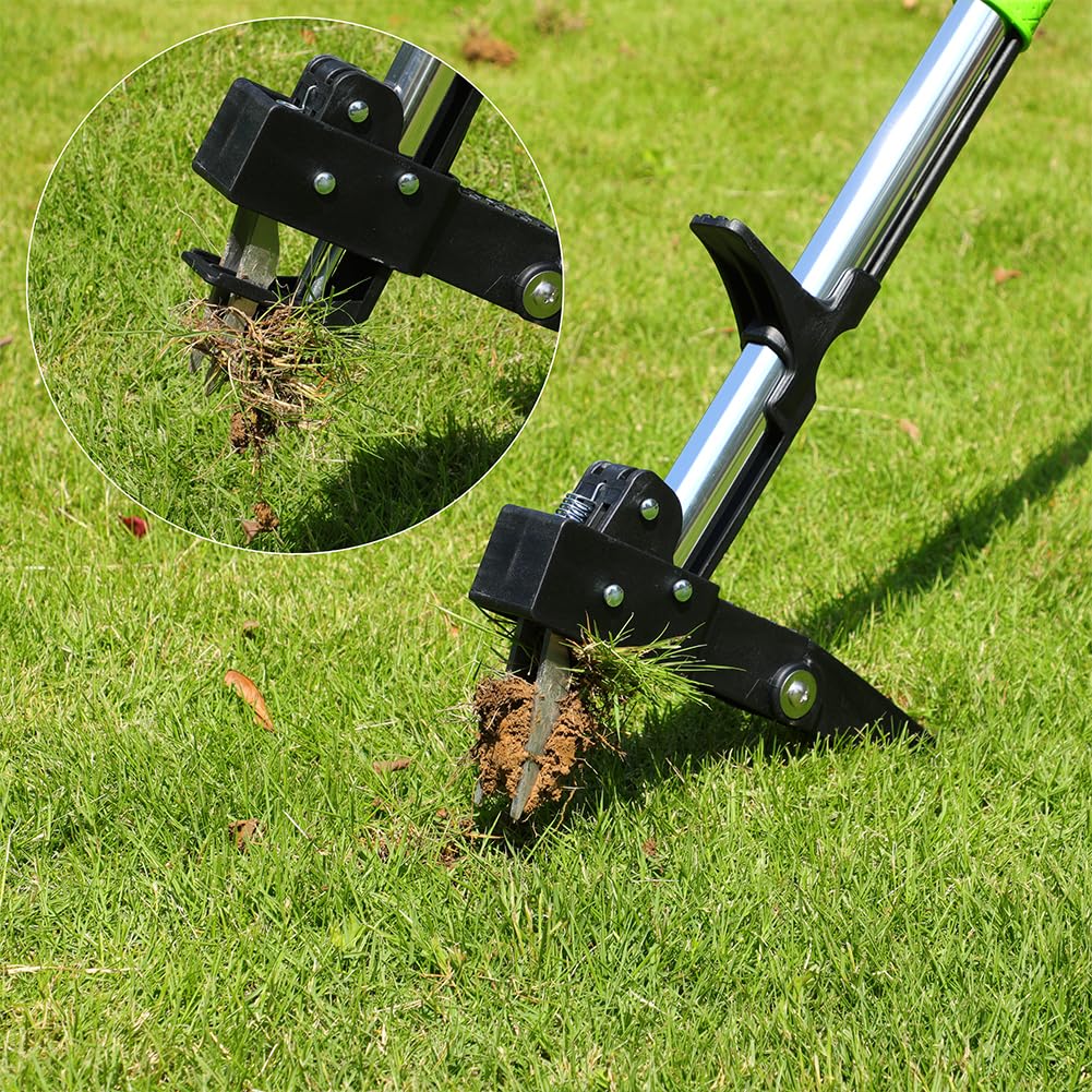 3 Attrezzi Diserbo Manuale In Acciaio Inox - Estirpatore Erbacce Con Manico Legno Per Giardinaggio - Foto 12