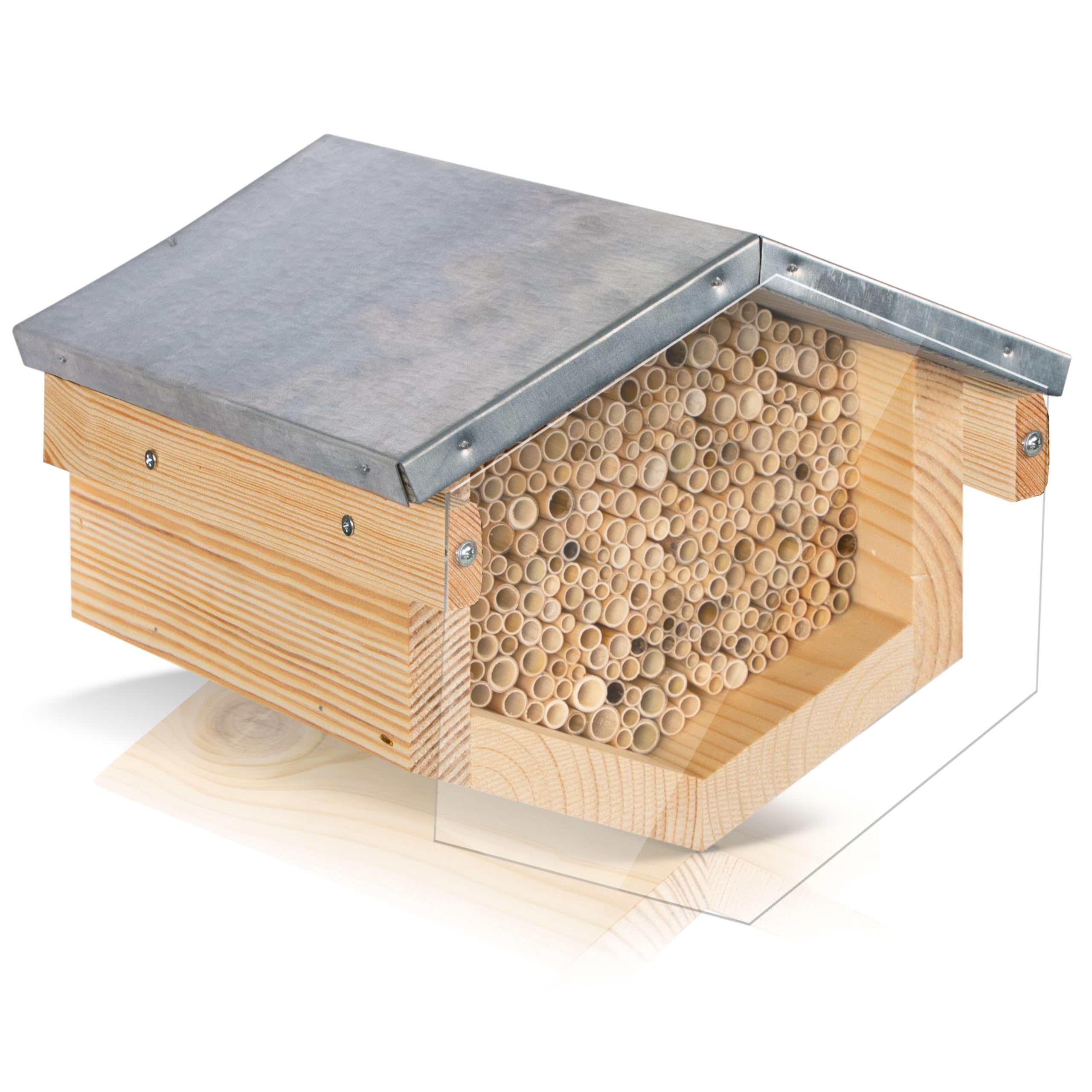 Beesi Wildbienenhotel mit Vogelschutz I Dach wetterfest I Nisthülsen aus Bambus I hochwertiges Insektenhotel I ohne Splitter mit Acrylgrlas Vogelschutz (Schilf - Für kleinere Bienen, Brown)