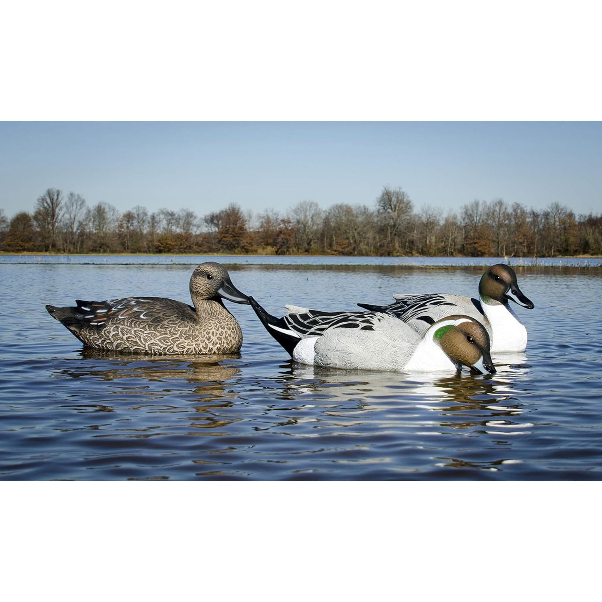 Higdon Outdoors Señuelos de pato Pintail de acorazado, relleno de espuma…