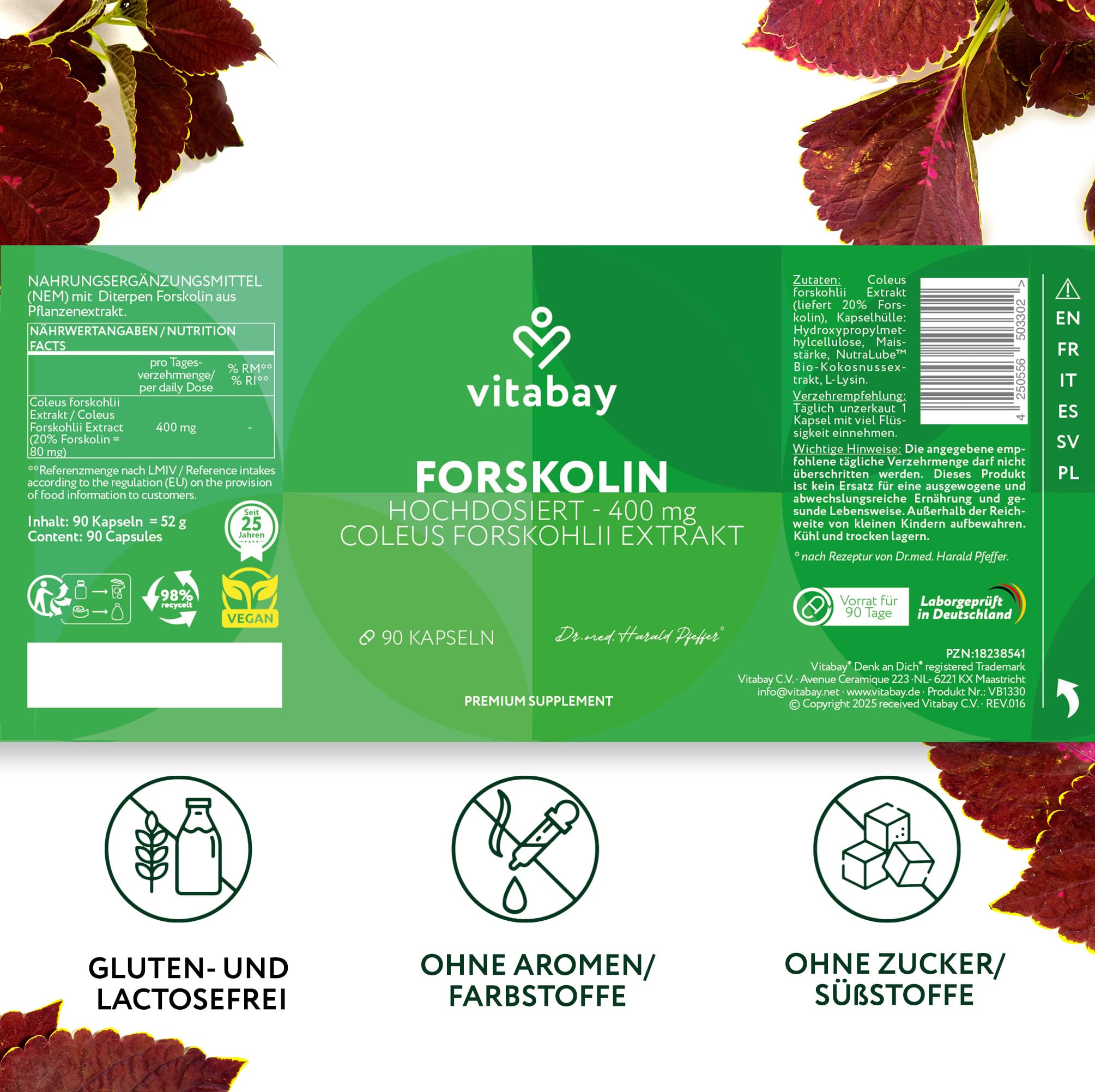 Vitabay Forskolin 400 mg hochdosiert – 180 vegane Kapseln – Coleus-forskohlii-Extrakt aus der Wurzel der indischen Buntnessel – vegan & laborgeprüft in Deutschland – 2er Bundle